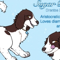 ref sheet example